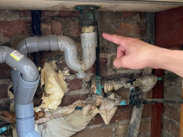 Water damage restoration mold remediation in Grove Hill, AL