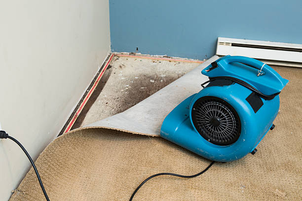 Best 24/7 water damage repair  in Grove Hill, AL